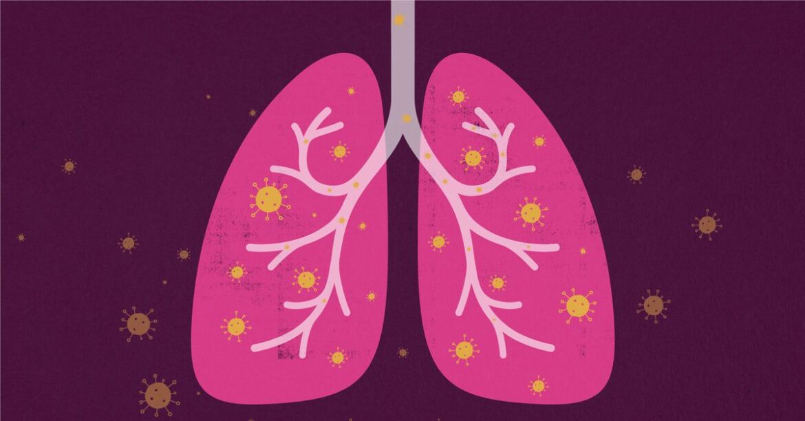 Covid-19 infection does not affect lung function in young adults, says new study