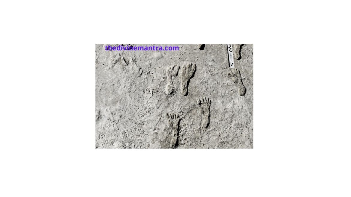 Around 23,000 years old human footprints in North America found in New Mexico