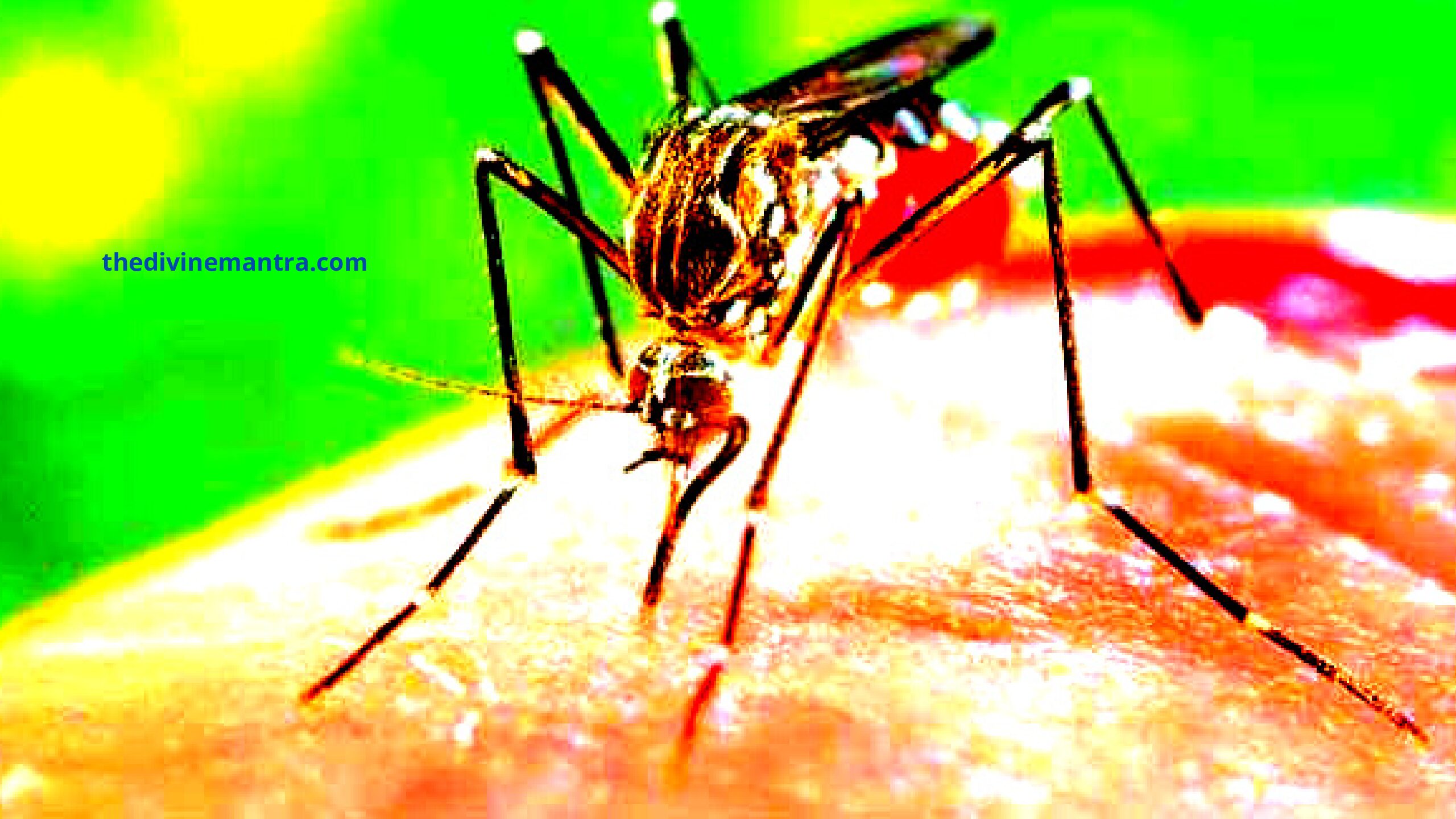 New Variant of Dengue Observed in 11 States; D2 Causes Concern for High Grade Fever, Shock Syndrome