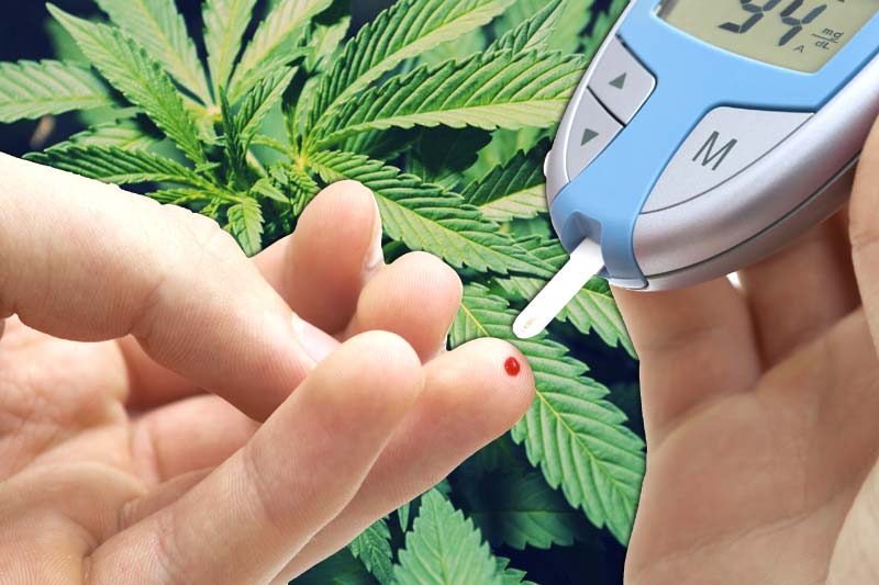 CBD For Diabetes: Does It Work?