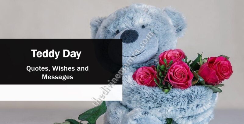 Teddy Day Quotes, Wishes and Messages