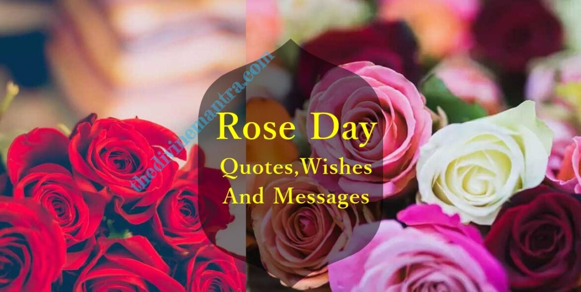 Rose Day Quotes,Wishes And Messages